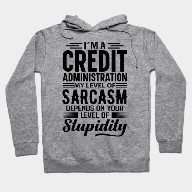 I'm A Credit Administration Hoodie by Stay Weird